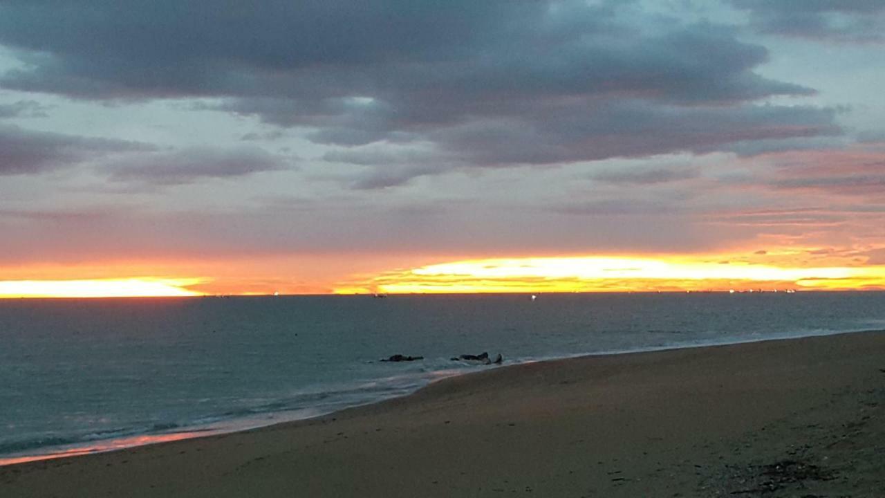 Villetta Del Conero Porto Recanati Exterior foto